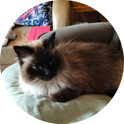 Zimba